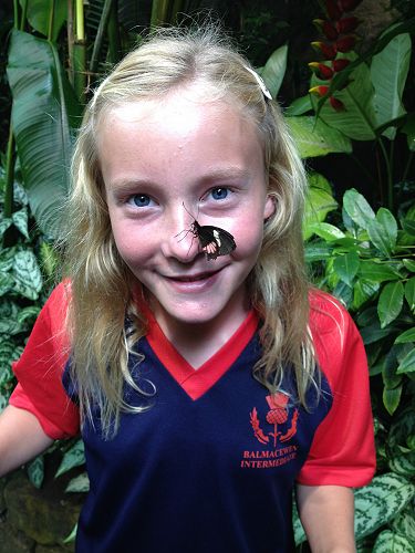 Getting nosey in the Rainforest Eco-sanctuary