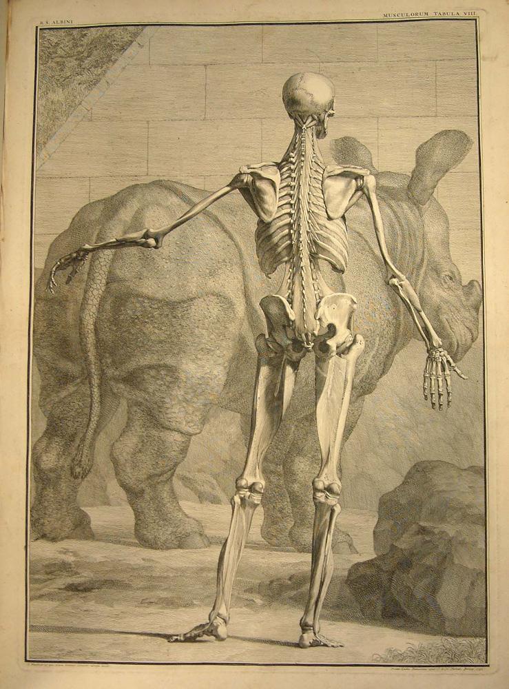 Scholarly Favourites. Researching in Special Collections