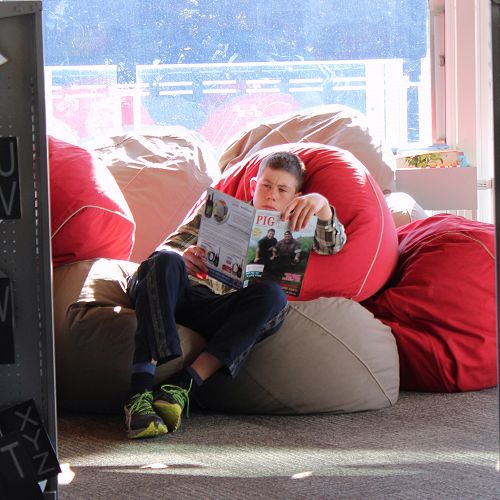 High Interest Reading