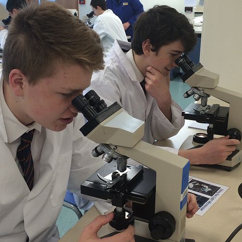 Sam and Nick examining the life found in pond water
