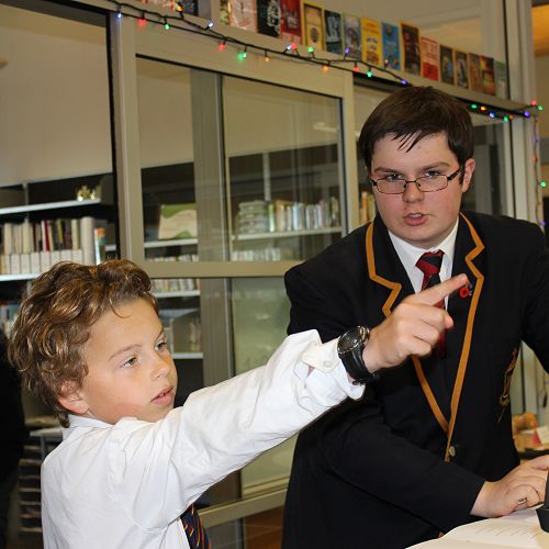 Librarians' Training