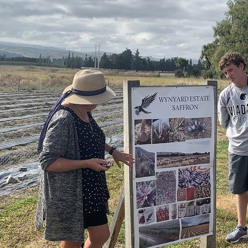 Wendy explains the process of saffron growing...