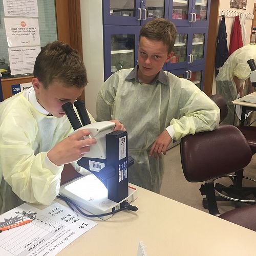 Testing DNA samples in the lab