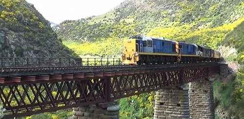 Taieri Gorge Train trip
