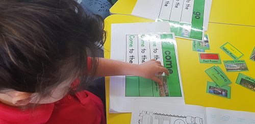 Literacy