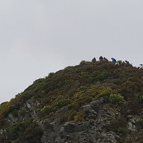Year 10 Peninsula Day - boys climbing 'Elephant Rock'