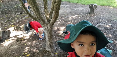 Mini-beast hunt