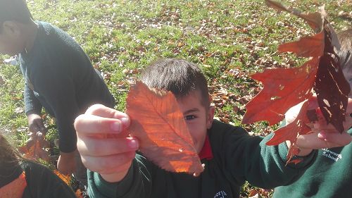Autumn Fun
