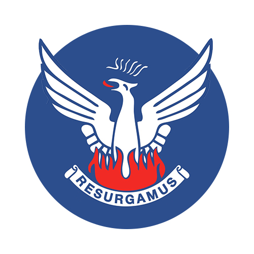 Organisation logo