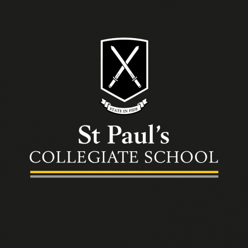 Organisation logo