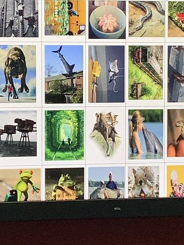 Some of the images given to the students