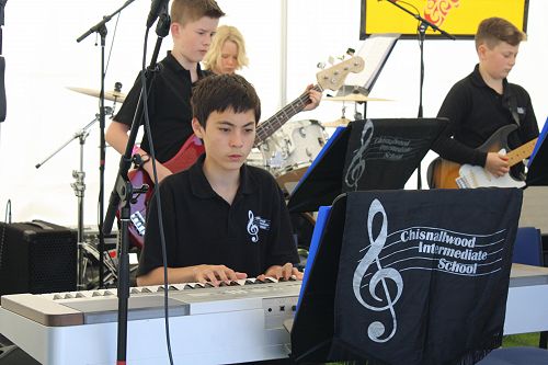 Robin on keyboard