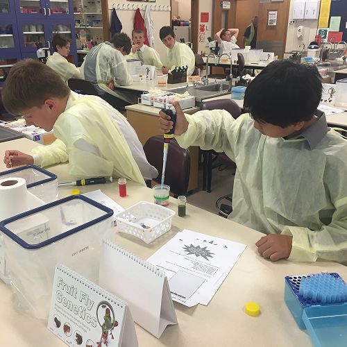 Testing DNA samples in the lab