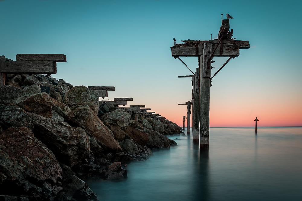 Stories from our Vibrant Dunedin UNESCO City of Literature
