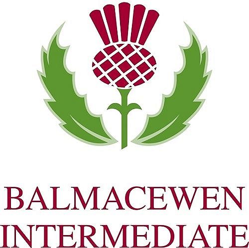 Balmacewen
