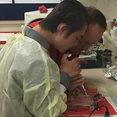 Testing DNA samples in the lab