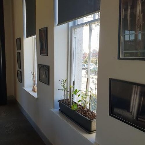 IB Art Exhibition - James Burchell
