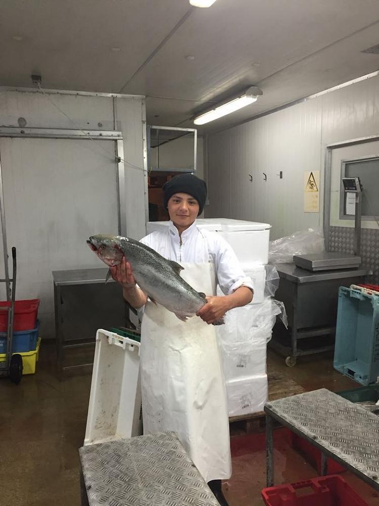 JB Lowery on work experience at Blue Water Fish