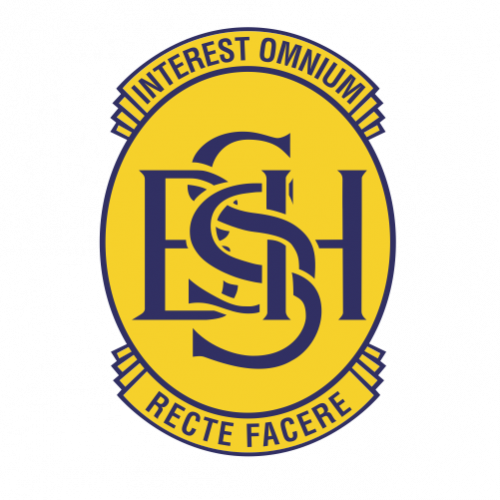 Organisation logo