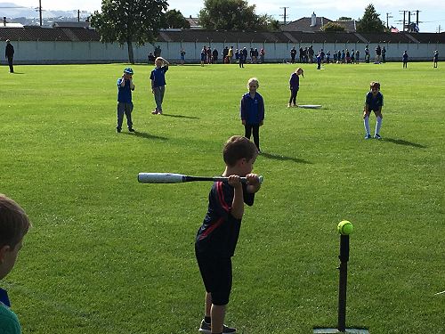 T ball