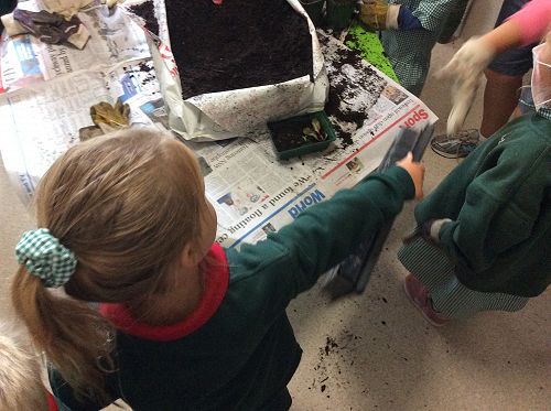 Gardening