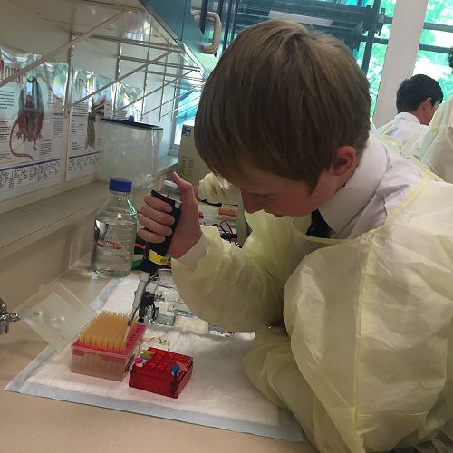 Testing DNA Samples in the Lab