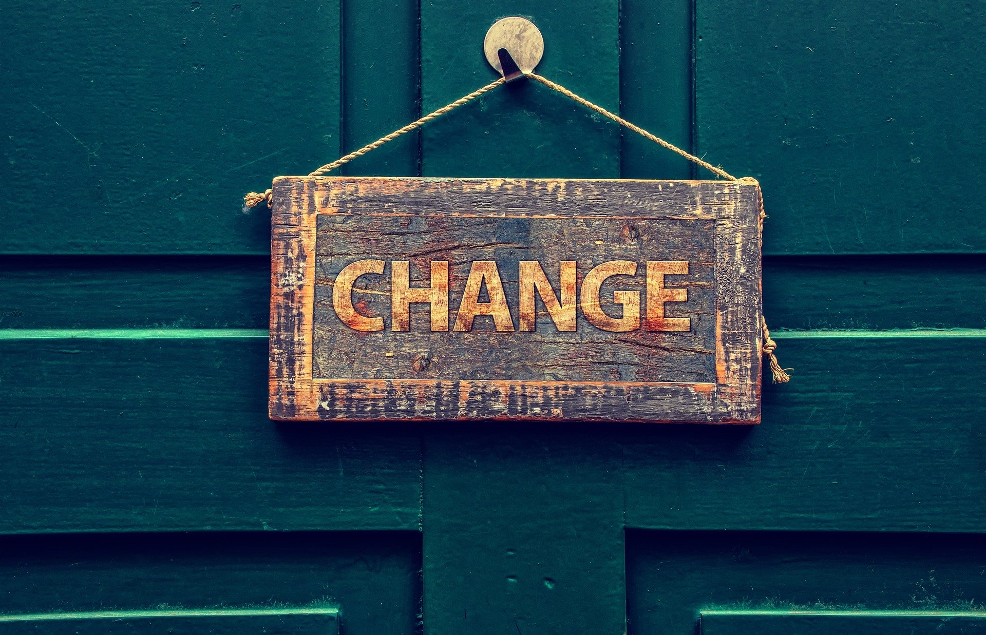 NZSG Co-opted Executive members have changed for 2025 | New Zealand ...