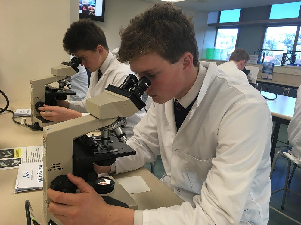 Archie examining a sample