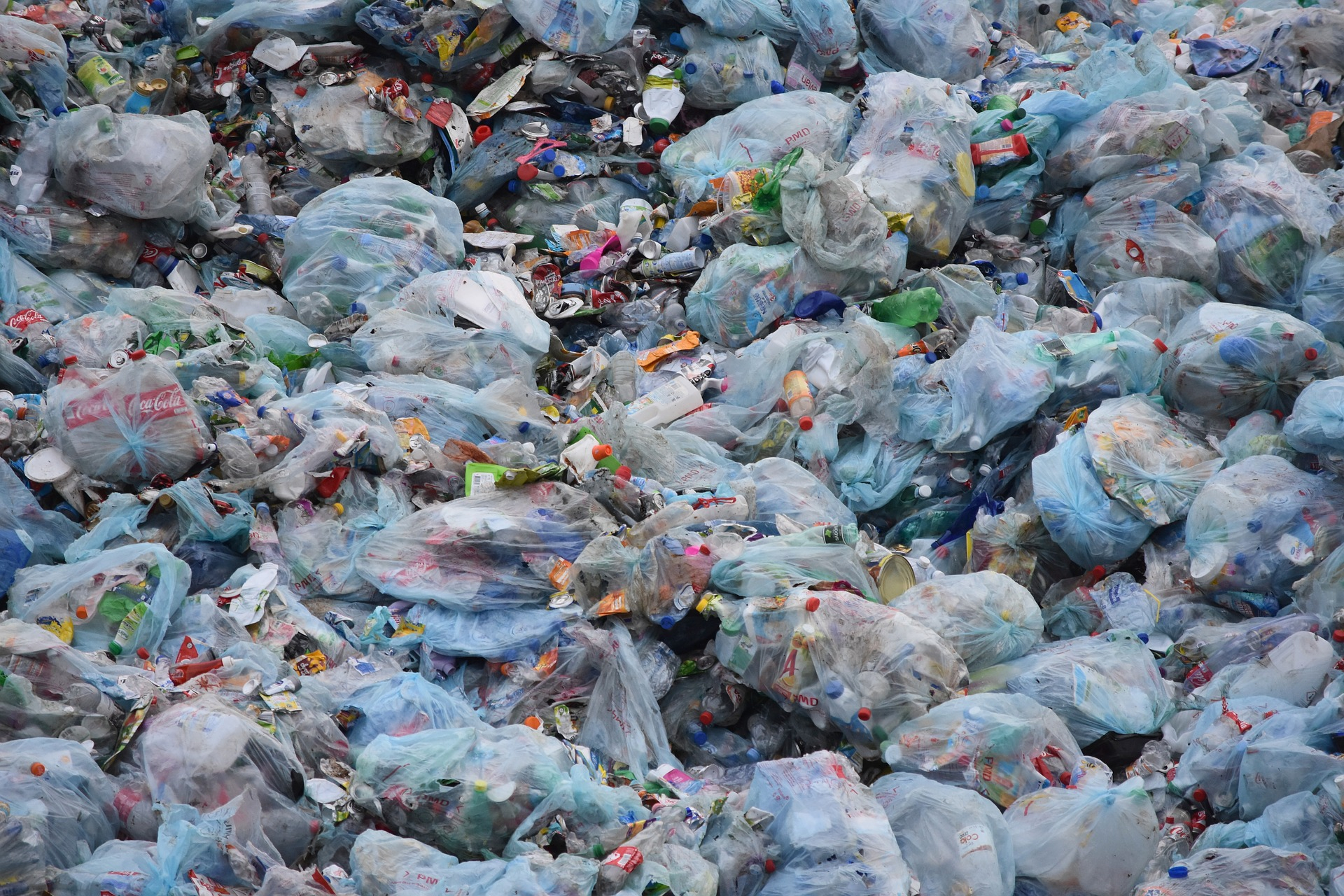 Room 4 wants help!  Please help us and reduce the plastic in our lunches that gets thrown away!