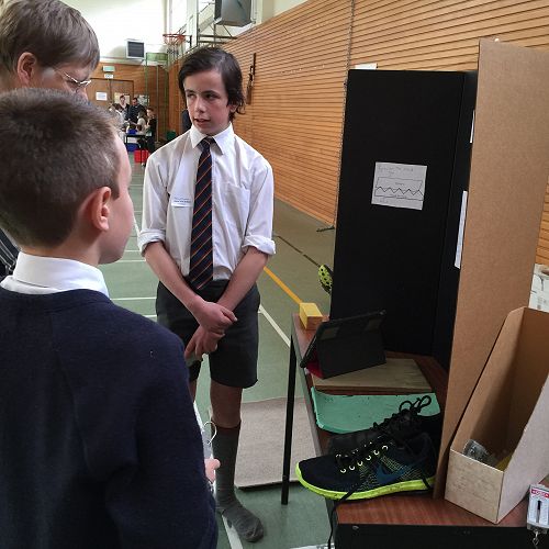 Matthew and Mason present their display.