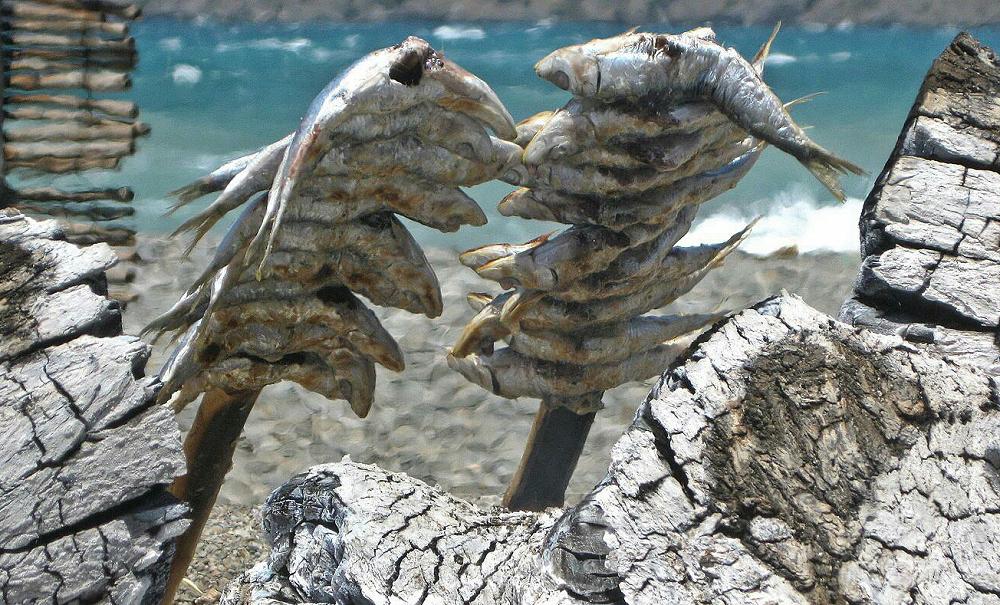 Roasted Sardines
