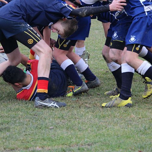 Waihi Rugby match... A tough battle in the icy conditions. Final score was 62-48 to the home team.&nbsp;