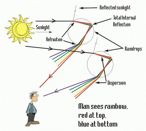 How we see rainbows