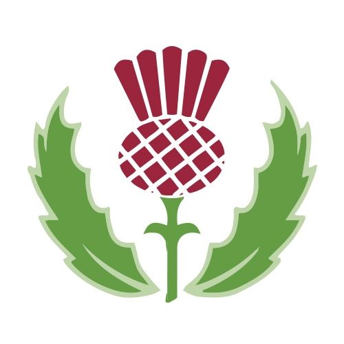Organisation logo