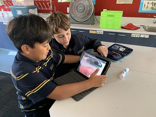 Exploring vision simulations.
