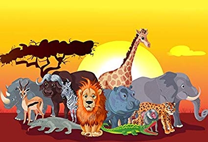 Room 5's Assembly Friday 22 November 10.50am Kaikorai School Hall