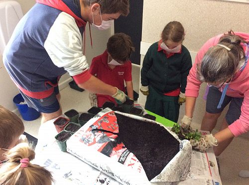 Gardening