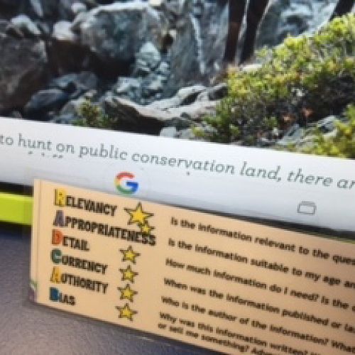 Media Fluency - A student uses the RADCAB evaluation tool to determine the quality of a website he is using for a research task.&nbsp;