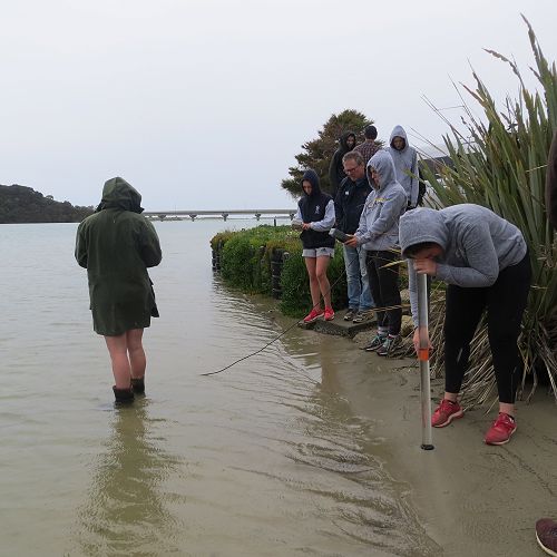 Site 7, Taieri Mouth