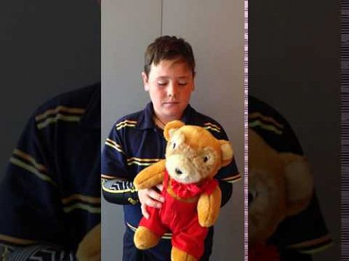 Teddy