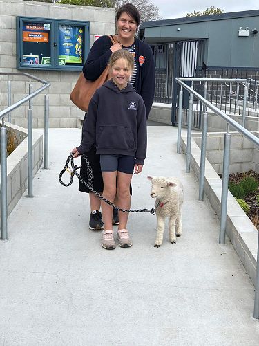 When Wool in School really does come to school!