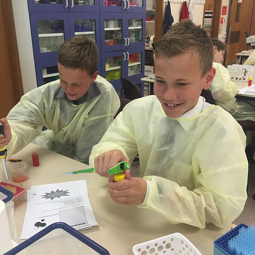 Testing DNA samples in the lab