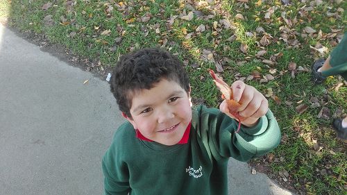 Autumn Fun