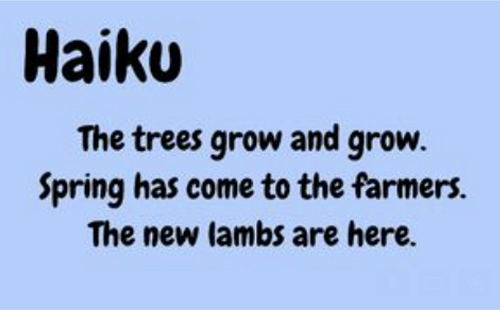 Room 9-Haiku Poetry-By Millar