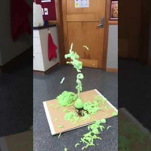 Elephants Toothpaste