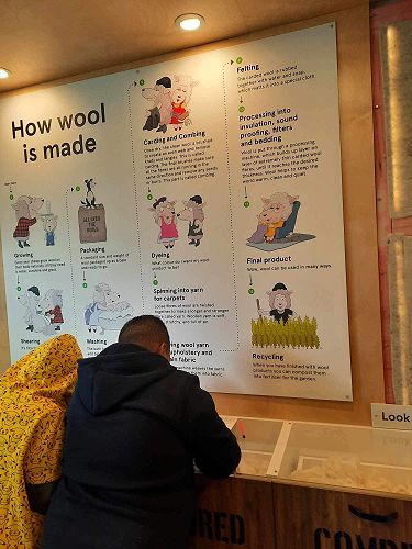 Wool in Schools