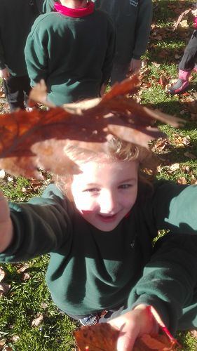 Autumn Fun