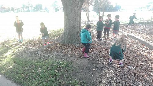 Autumn Fun