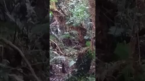 20170926 103453