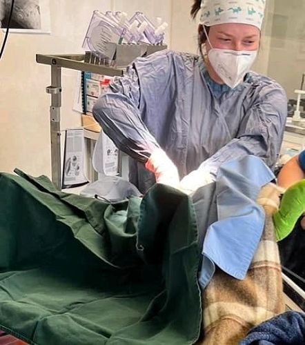 Tanya the Veterinarian.